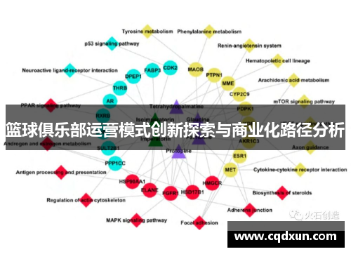 篮球俱乐部运营模式创新探索与商业化路径分析
